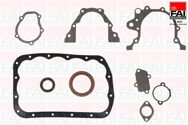 Gasket Kit, crankcase (CS1210)