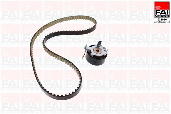 Timing Belt Kit (TBK551)