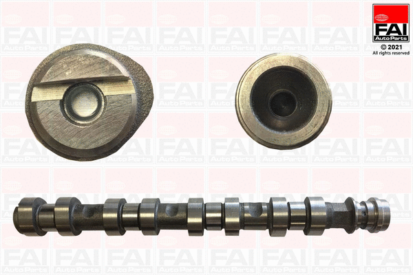 Camshaft (C461)