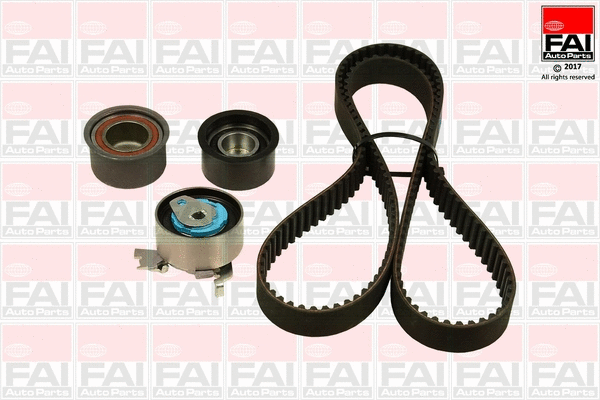 Timing Belt Kit (TBK528)