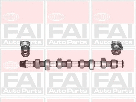 Camshaft (C305)