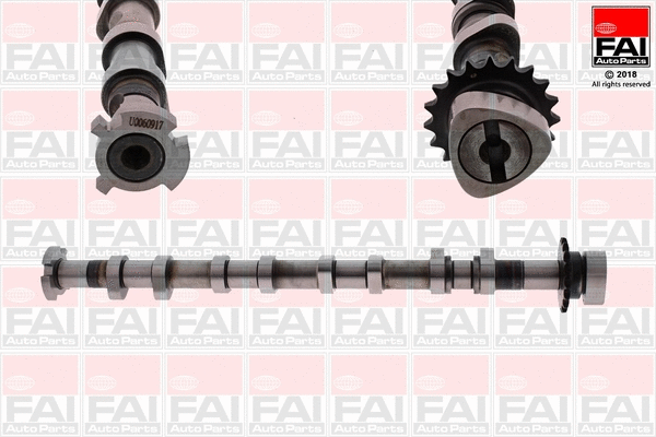 Camshaft (C379)