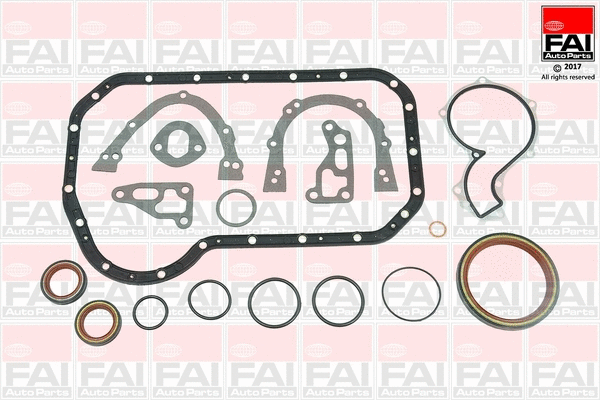Gasket Kit, crankcase (CS534)