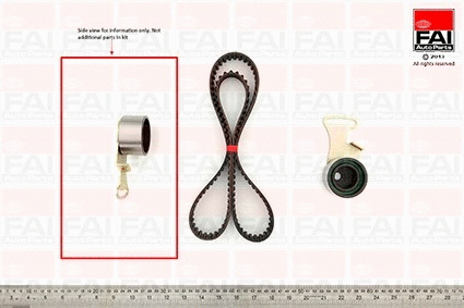 Timing Belt Kit (TBK213)