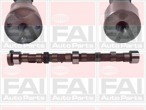 Camshaft (C222)