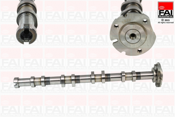 Camshaft (C341)