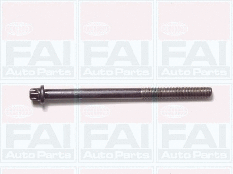 Cylinder Head Bolt Set (B1050)