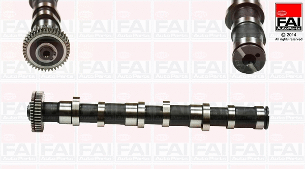 Camshaft (C279)