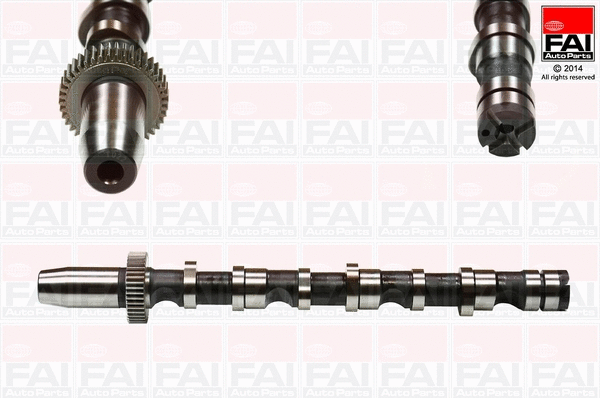 Camshaft (C278)