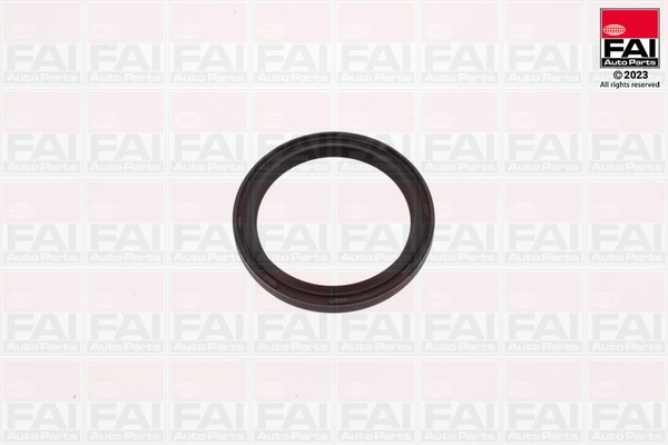 Shaft Seal, crankshaft (OS1901)
