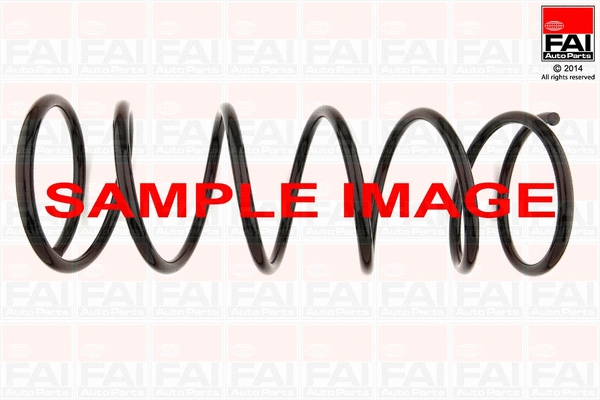 Suspension Spring (SP255)