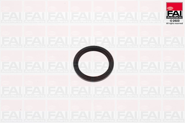 Shaft Seal, crankshaft (OS971)