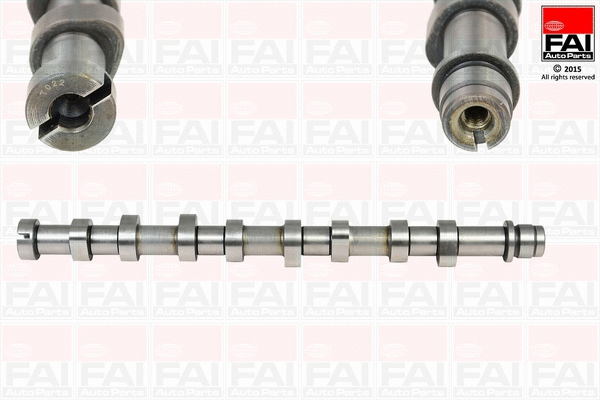 Camshaft (C260)