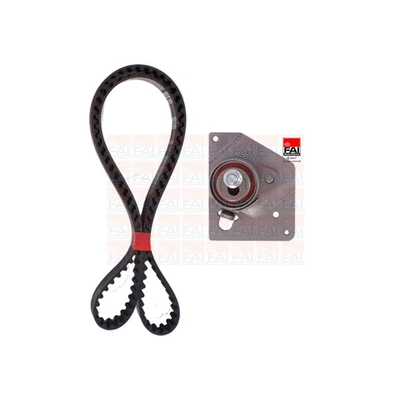 Timing Belt Kit (TBK356)