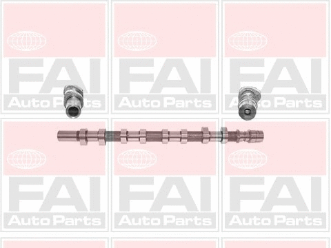 Camshaft (C256)