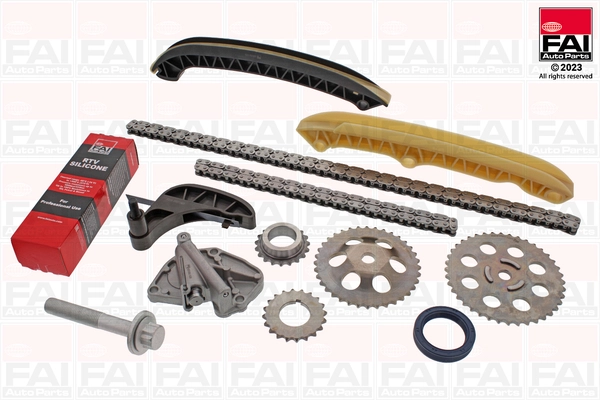Timing Chain Kit (TCK10C)