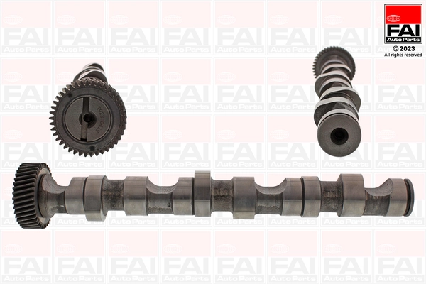 Camshaft (C247)