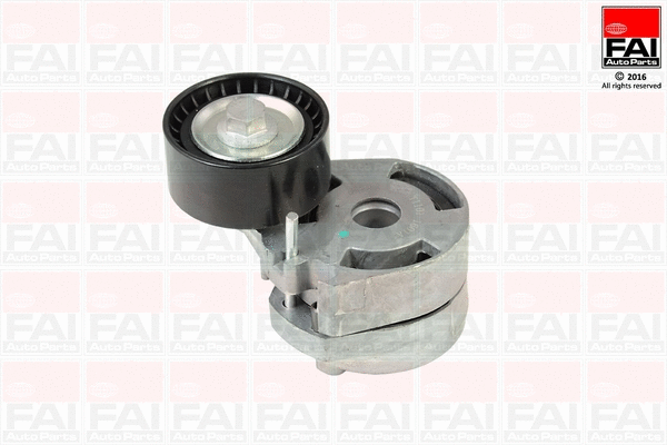 Tensioner Pulley, V-ribbed belt (T1101)