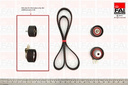 Timing Belt Kit (TBK176)