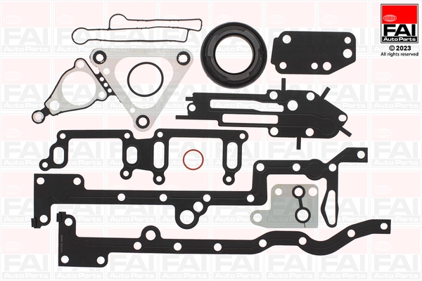 Gasket Kit, crankcase (CS1002)