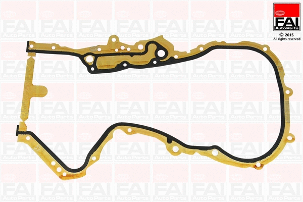 Gasket, timing case (TC1476)