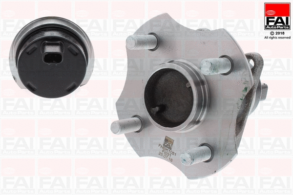 Wheel Bearing Kit (FHBK1051)