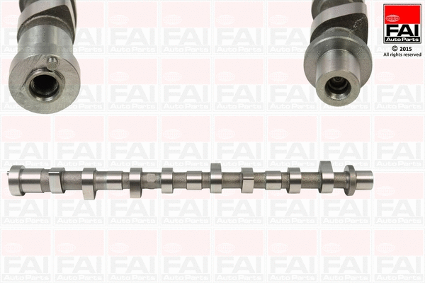 Camshaft (C294)