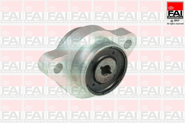 Mounting, control/trailing arm (SS9194)