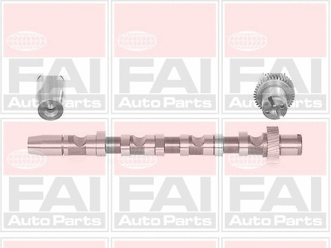 Camshaft (C244)
