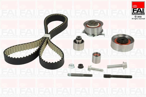 Timing Belt Kit (TBK539)