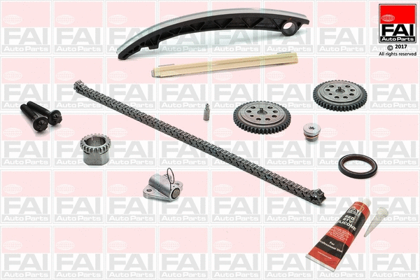 Timing Chain Kit (TCK72)