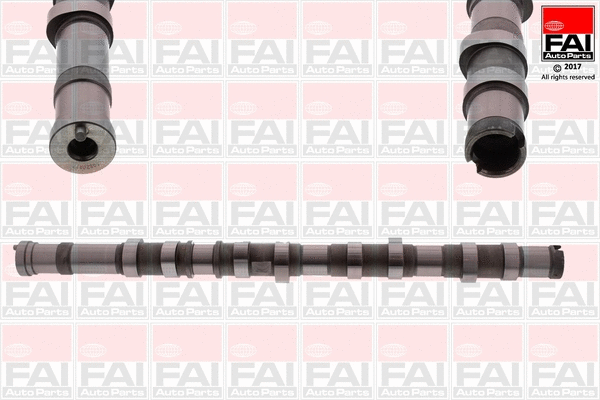 Camshaft (C371)