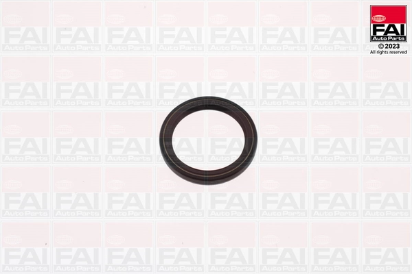 Shaft Seal, crankshaft (OS779)