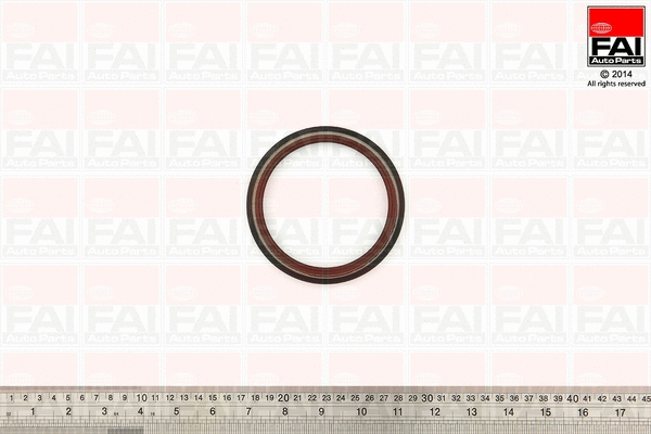 Shaft Seal, crankshaft (OS881B)