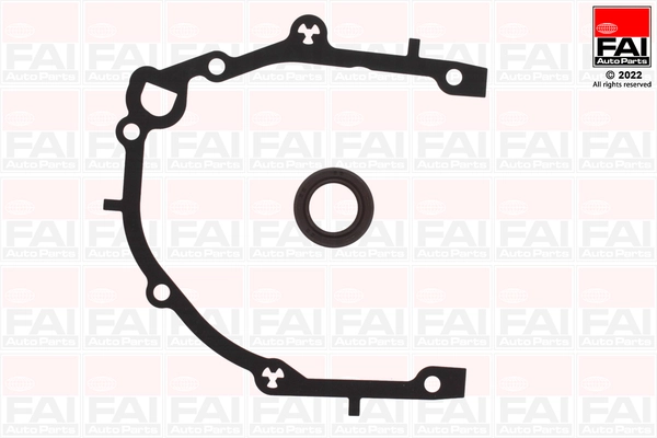 Gasket Kit, crankcase (CS1365)