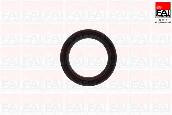 Shaft Seal, crankshaft (OS714)