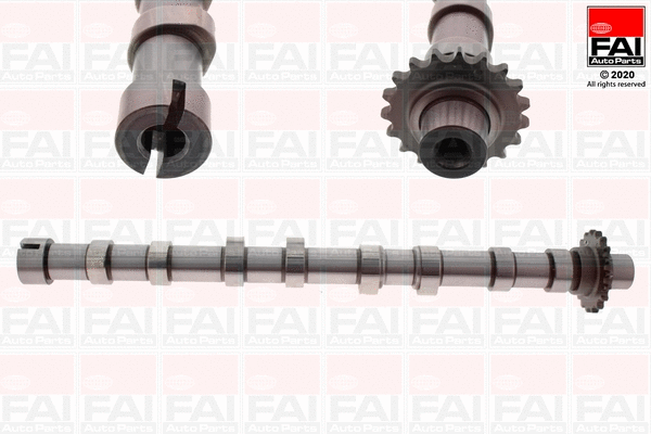 Camshaft (C420)