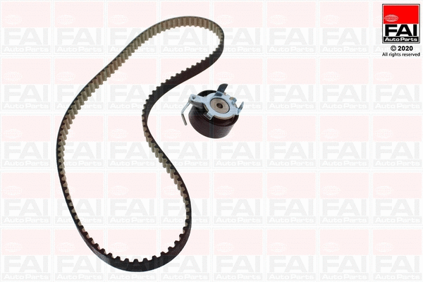 Timing Belt Kit (TBK552)