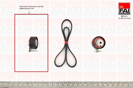 Timing Belt Kit (TBK145)