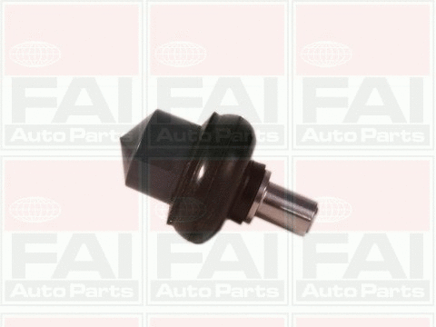 Ball Joint (SS5021)