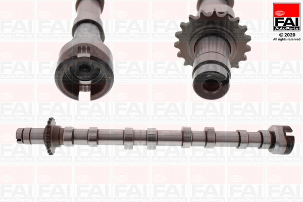 Camshaft (C421)