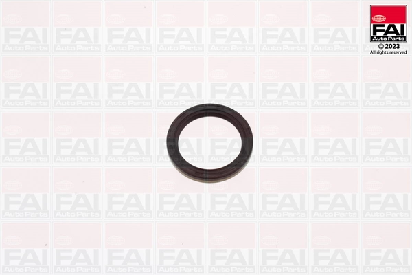 Shaft Seal, crankshaft (OS1321)