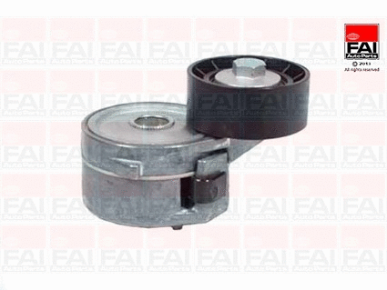 Tensioner Lever, V-ribbed belt (T9597)