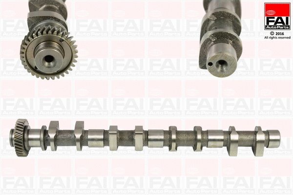 Camshaft (C362)