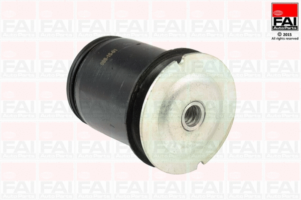 Bushing, axle beam (SS8041)