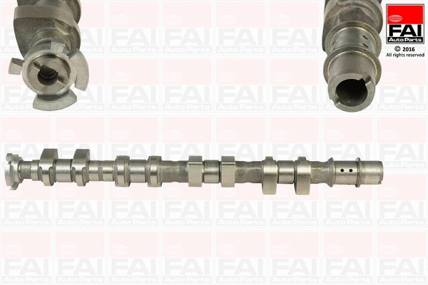 Camshaft (C365)