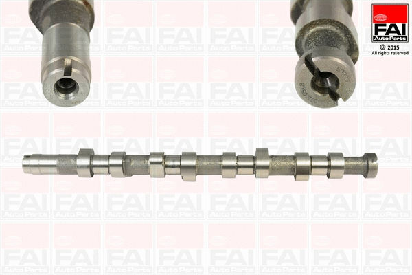 Camshaft (C242)