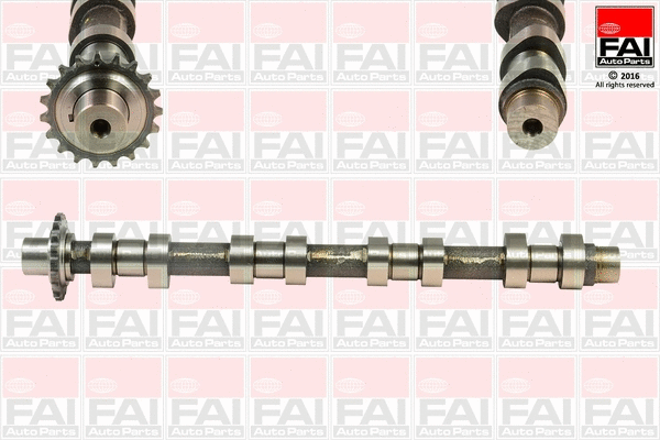 Camshaft (C373)