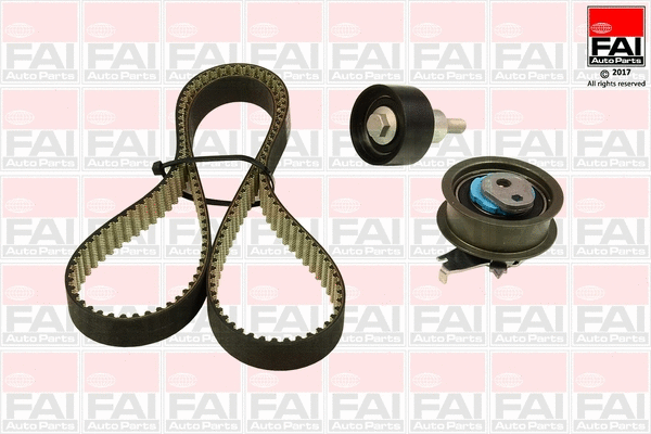 Timing Belt Kit (TBK548)