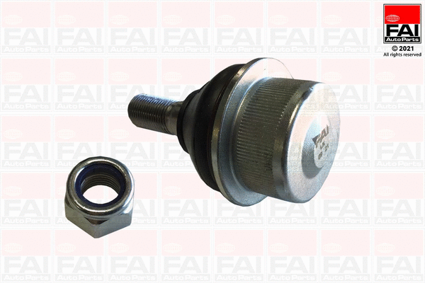 Ball Joint (SS10711)